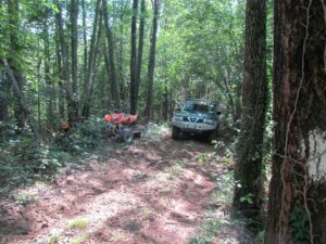 GL_AVT_2011_017