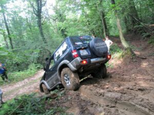 GL_AVT_2014_005